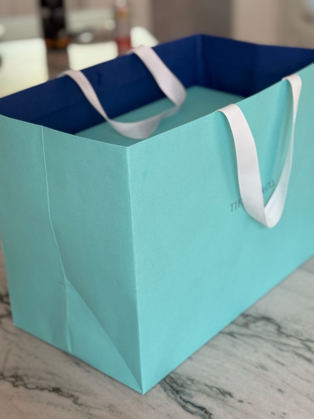 Tiffany & Co. Robin’s Egg Blue Gift Tote with White Ribbon